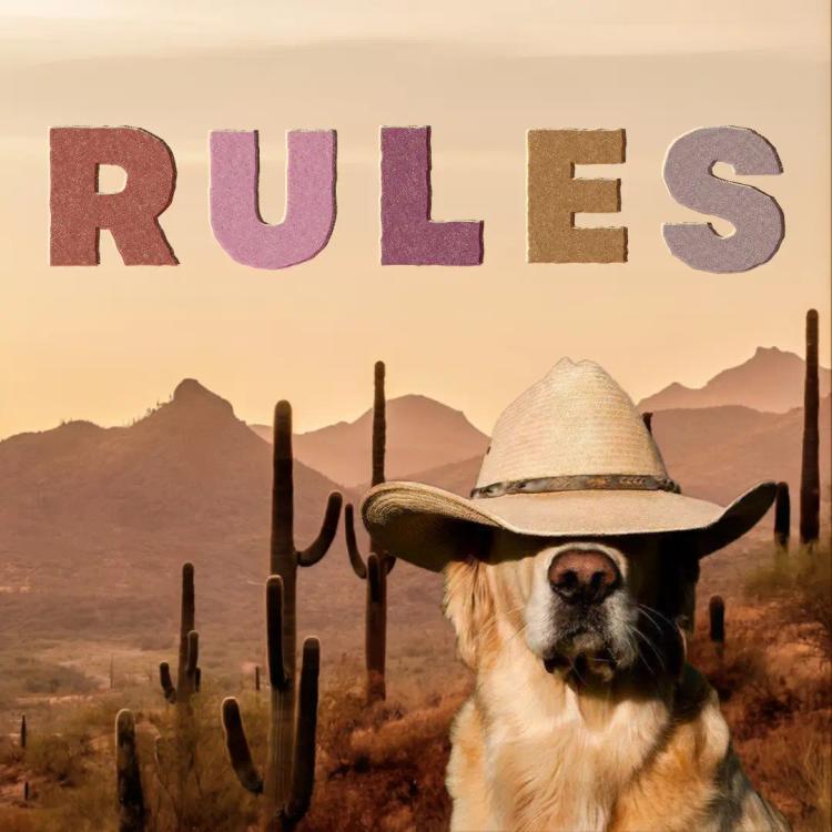 rules poster